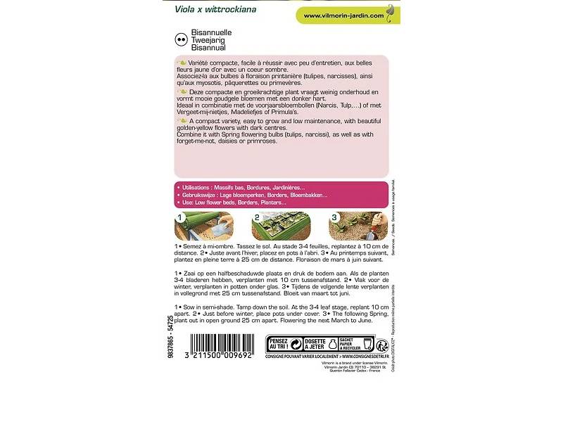 Vilmorin - Pensée géante or du Rhin jaune macule série 2 sachet graines 0,4 g - Vilmorin - Image 7