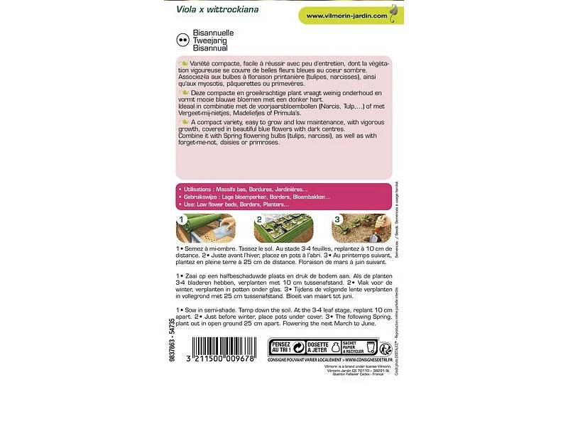 Vilmorin - Pensée géante lac de Thoune bleu série 2 sachet graines 0,4 g - Vilmorin - Image 3