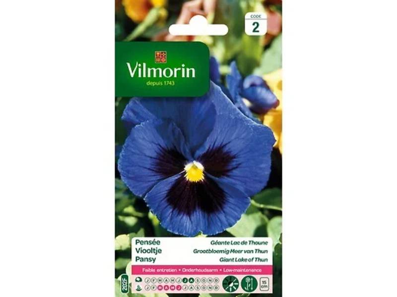 Vilmorin - Pensée géante lac de Thoune bleu série 2 sachet graines 0,4 g - Vilmorin - Image 1