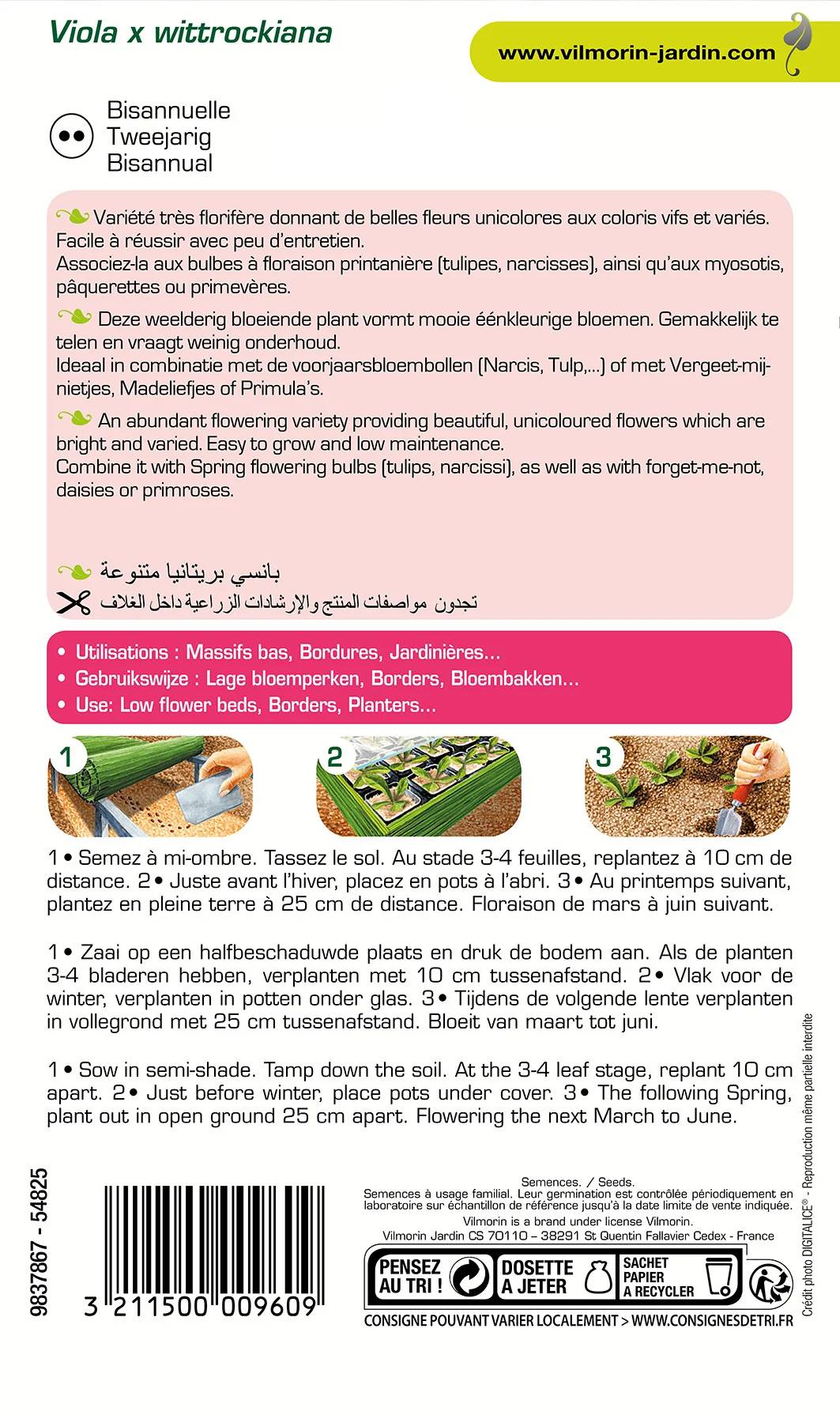 Vilmorin - Pensée printania variée série 2 sachet graines 0,4 g - Vilmorin - Image 3