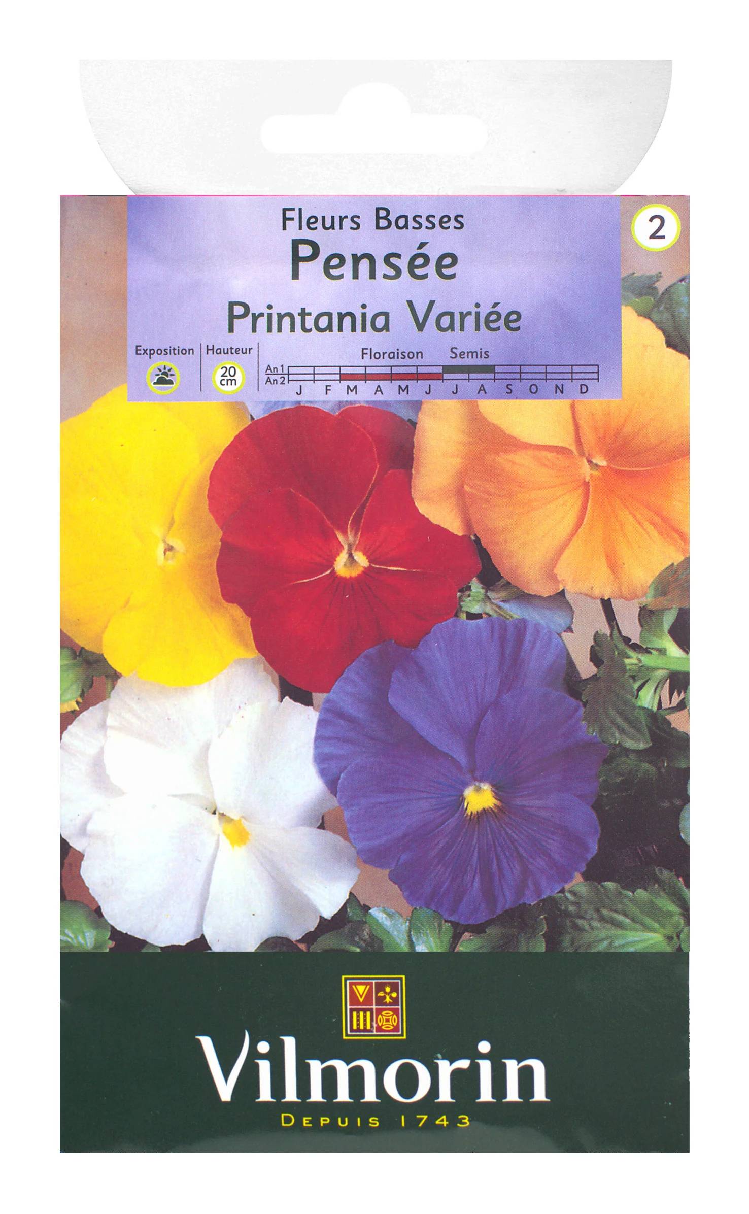 Vilmorin - Pensée printania variée série 2 sachet graines 0,4 g - Vilmorin - Image 2