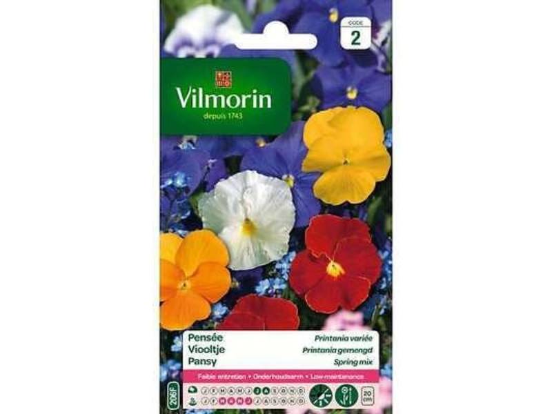 Vilmorin - Pensée printania variée série 2 sachet graines 0,4 g - Vilmorin - Image 6