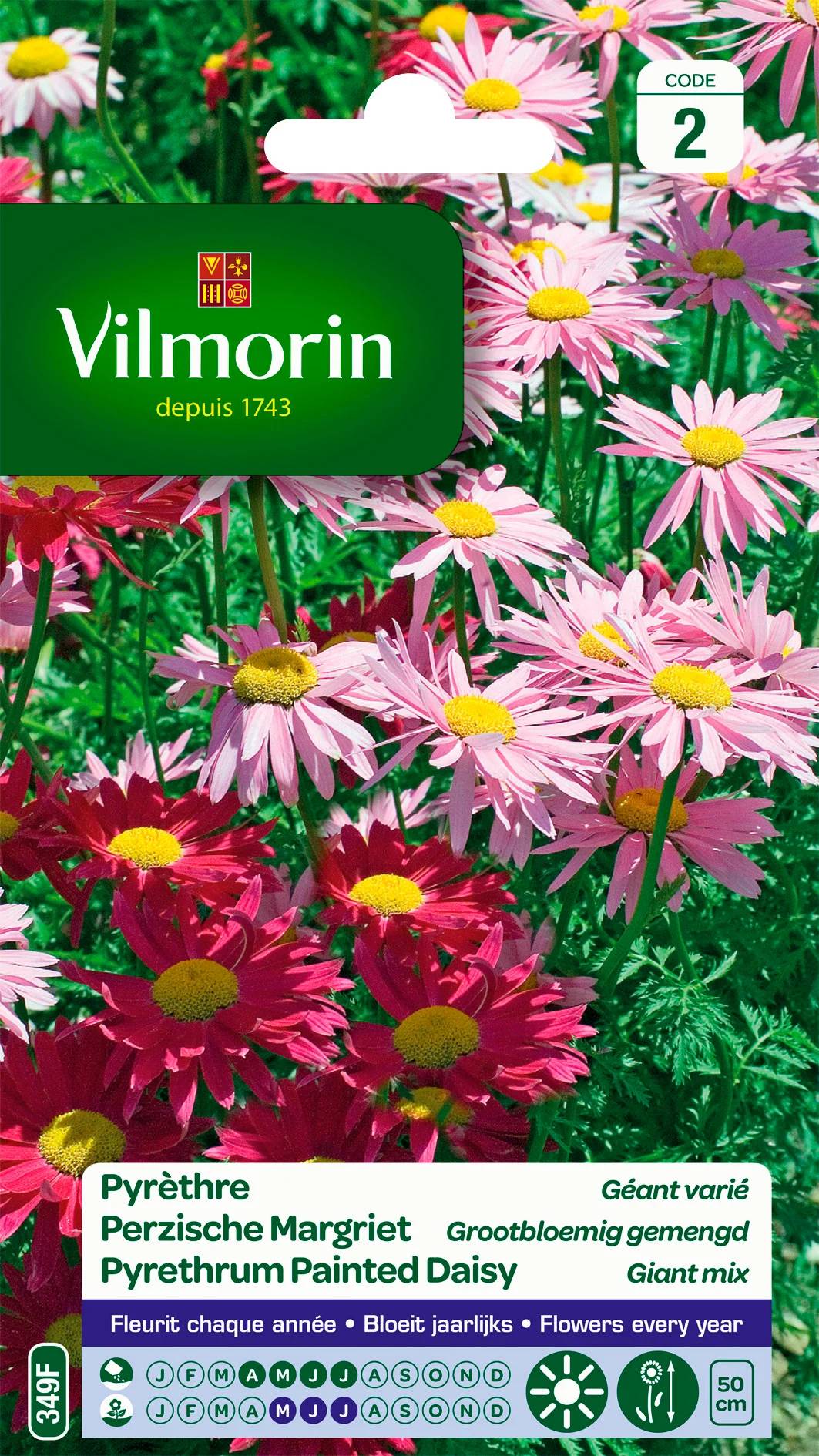 Vilmorin - Pyrèthre géant varie série 2 sachet graines 0,8 g - Vilmorin - Image 2