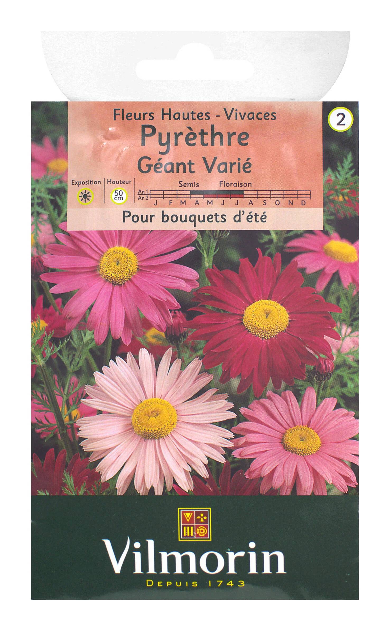 Vilmorin - Pyrèthre géant varie série 2 sachet graines 0,8 g - Vilmorin - Image 4