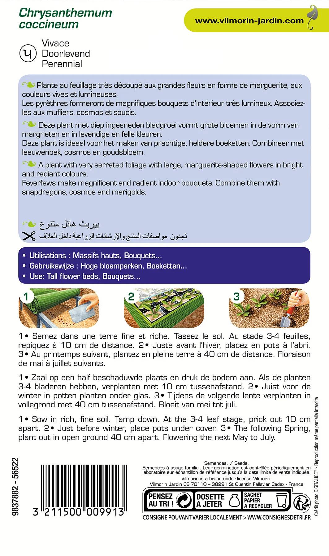 Vilmorin - Pyrèthre géant varie série 2 sachet graines 0,8 g - Vilmorin - Image 3