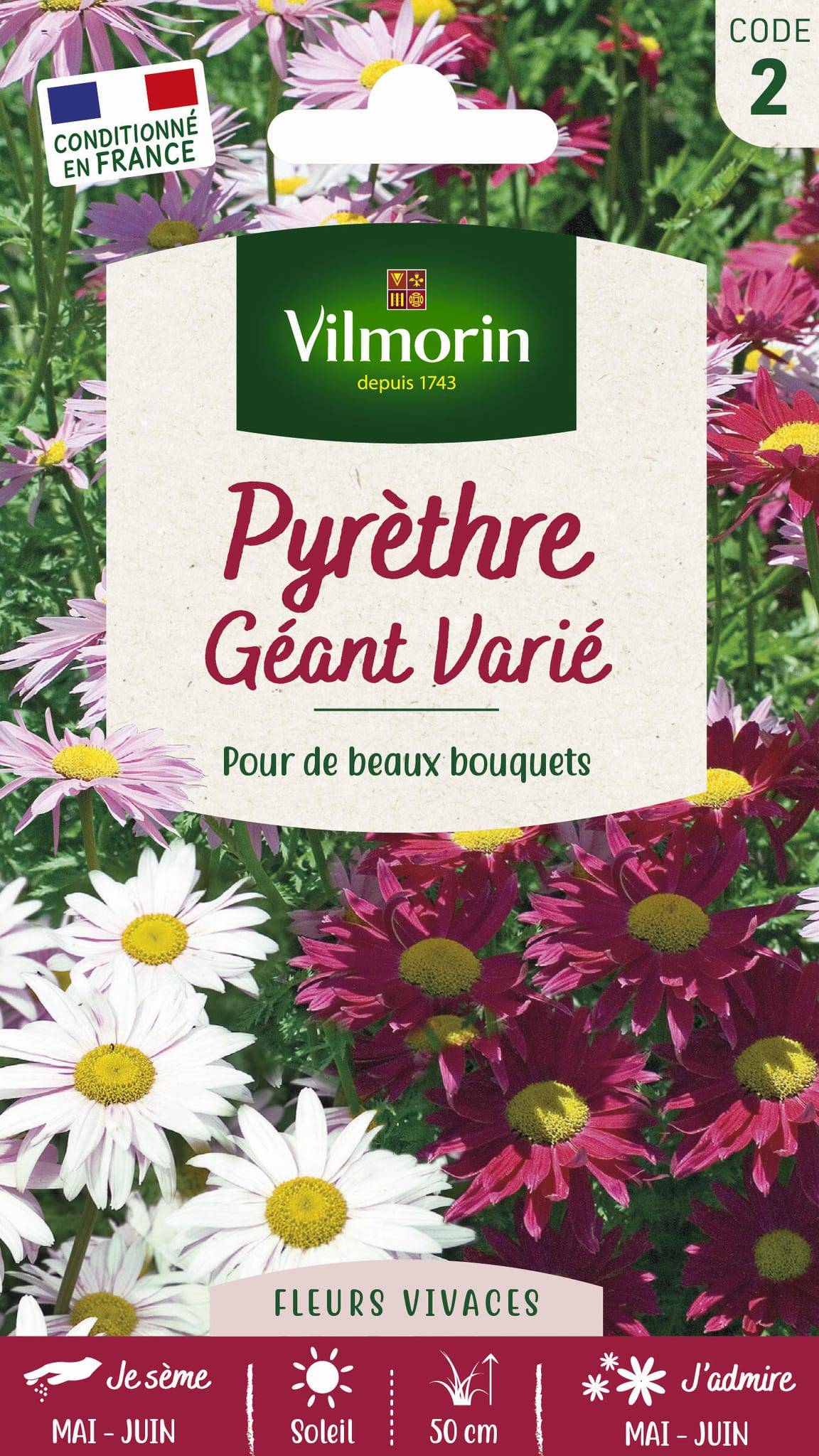 Vilmorin - Pyrèthre géant varie série 2 sachet graines 0,8 g - Vilmorin - Image 1