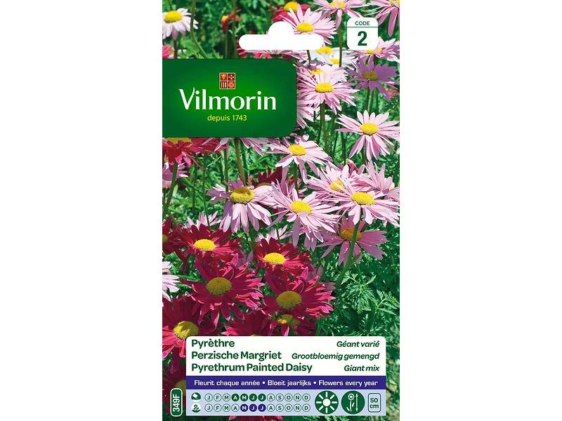 Vilmorin - Pyrèthre géant varie série 2 sachet graines 0,8 g - Vilmorin - Image 5