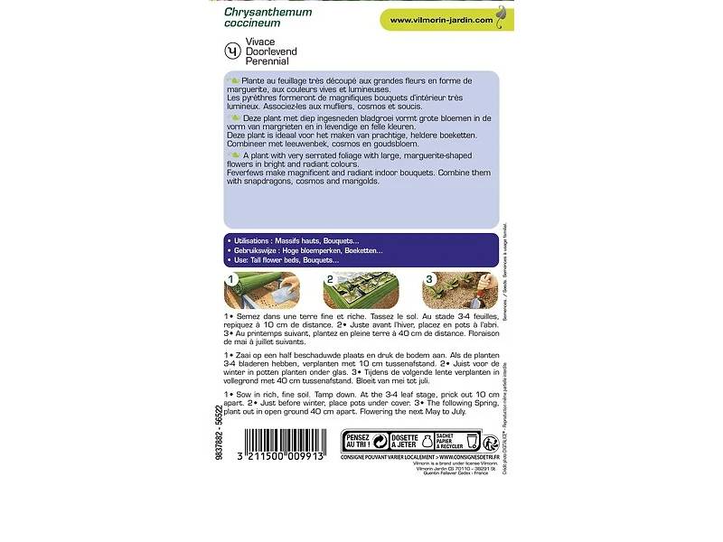 Vilmorin - Pyrèthre géant varie série 2 sachet graines 0,8 g - Vilmorin - Image 7