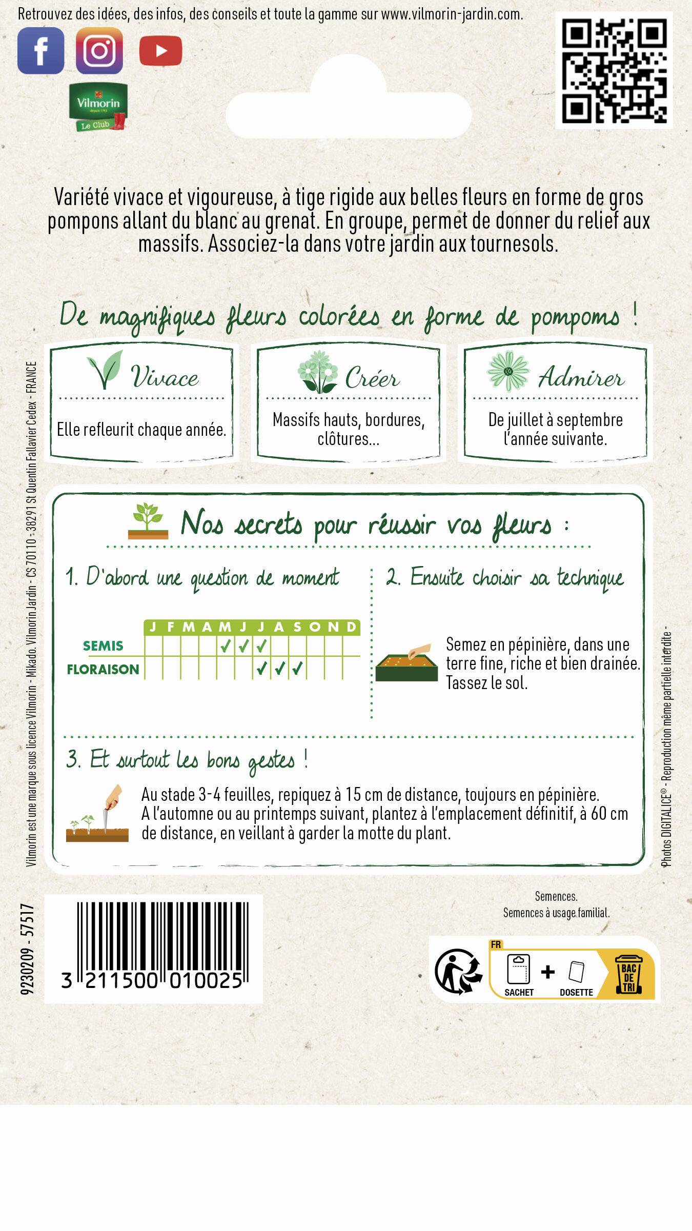Vilmorin - Rose Trémière Double Grande Variée serie 2 sachet graines 1,5 g - Vilmorin - Image 3