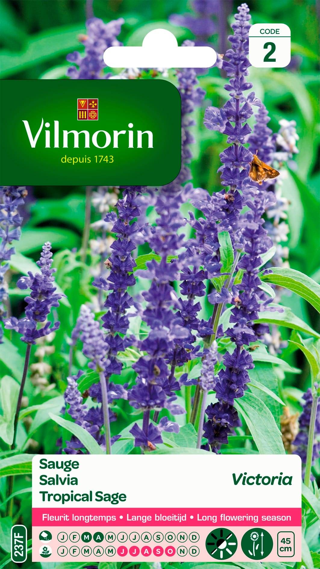 Vilmorin - Sauge bleue victoria série 2 sachet graines 0,5 g - Vilmorin - Image 2