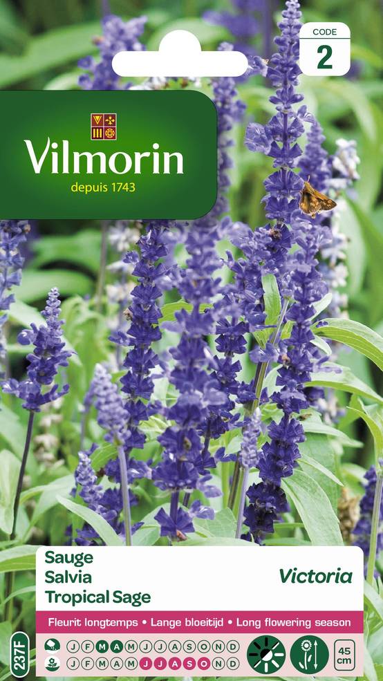 Vilmorin - Sauge bleue victoria série 2 sachet graines 0,5 g - Vilmorin - Image 1