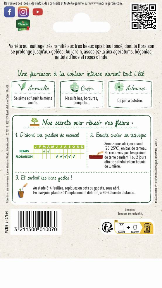 Vilmorin - Sauge bleue victoria série 2 sachet graines 0,5 g - Vilmorin - Image 3