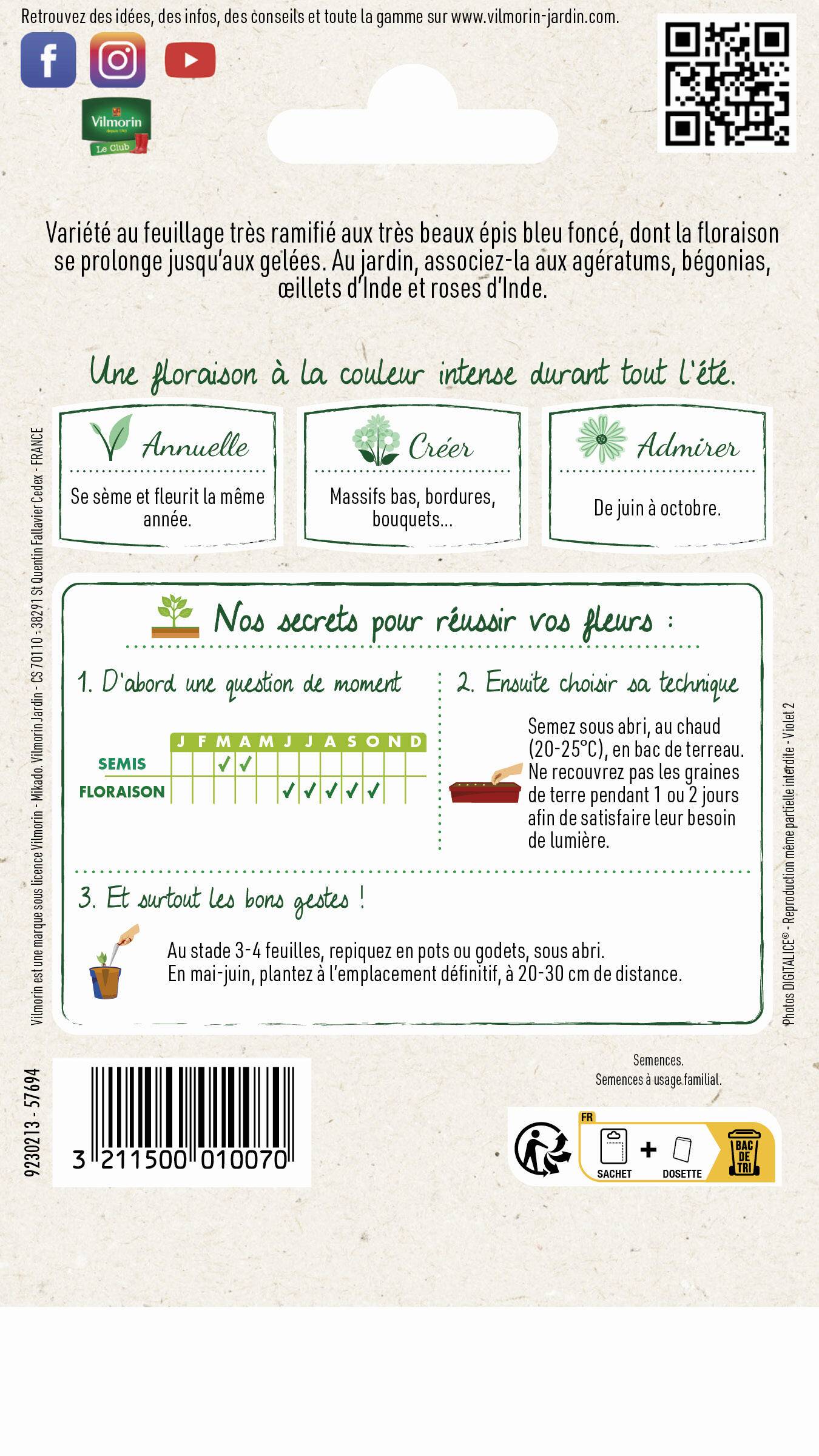 Vilmorin - Sauge bleue victoria série 2 sachet graines 0,5 g - Vilmorin - Image 3