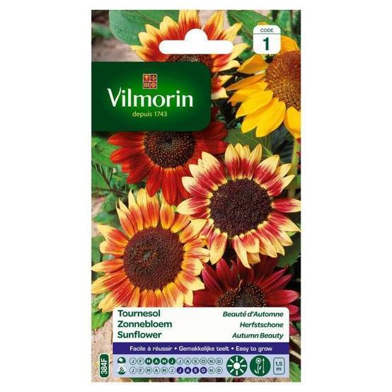 Vilmorin - Graines Tournesol Beauté d'Automne Jaune Rouge 3 g - VILMORIN - Image 2