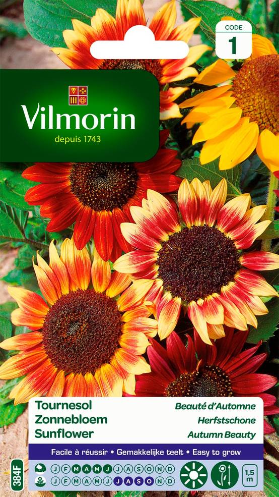 Vilmorin - Graines Tournesol Beauté d'Automne Jaune Rouge 3 g - VILMORIN - Image 3