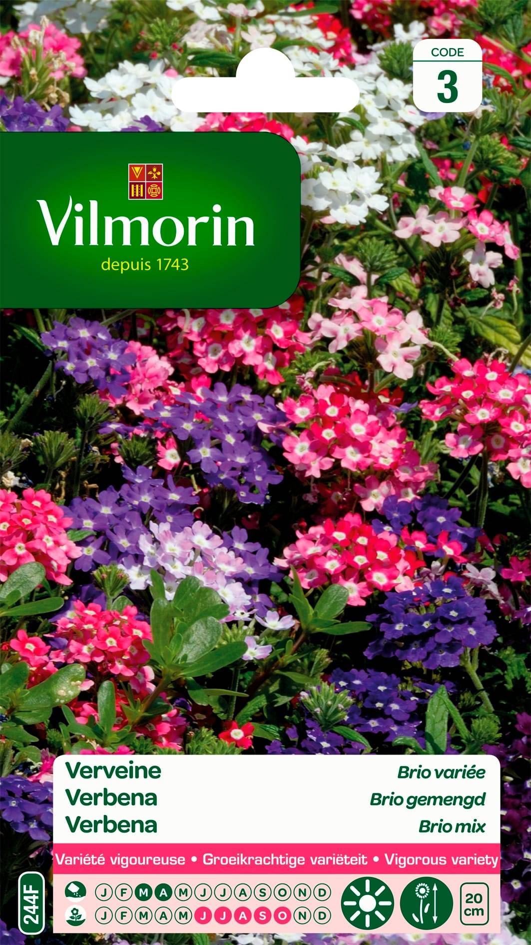 Vilmorin - Verveine Brio variée série 3 sachet graines 0,5 g - Vilmorin - Image 2