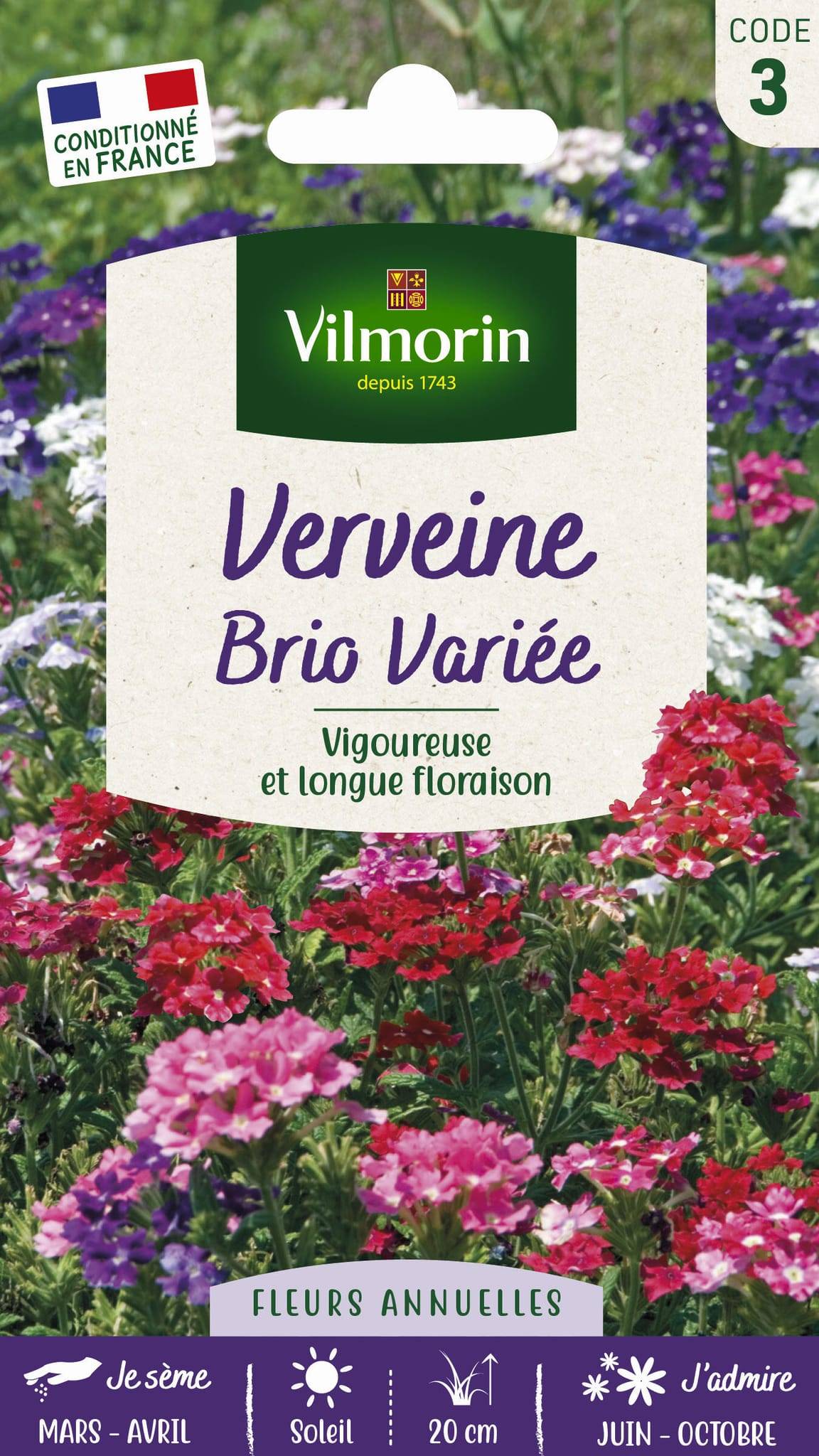 Vilmorin - Verveine Brio variée série 3 sachet graines 0,5 g - Vilmorin - Image 1