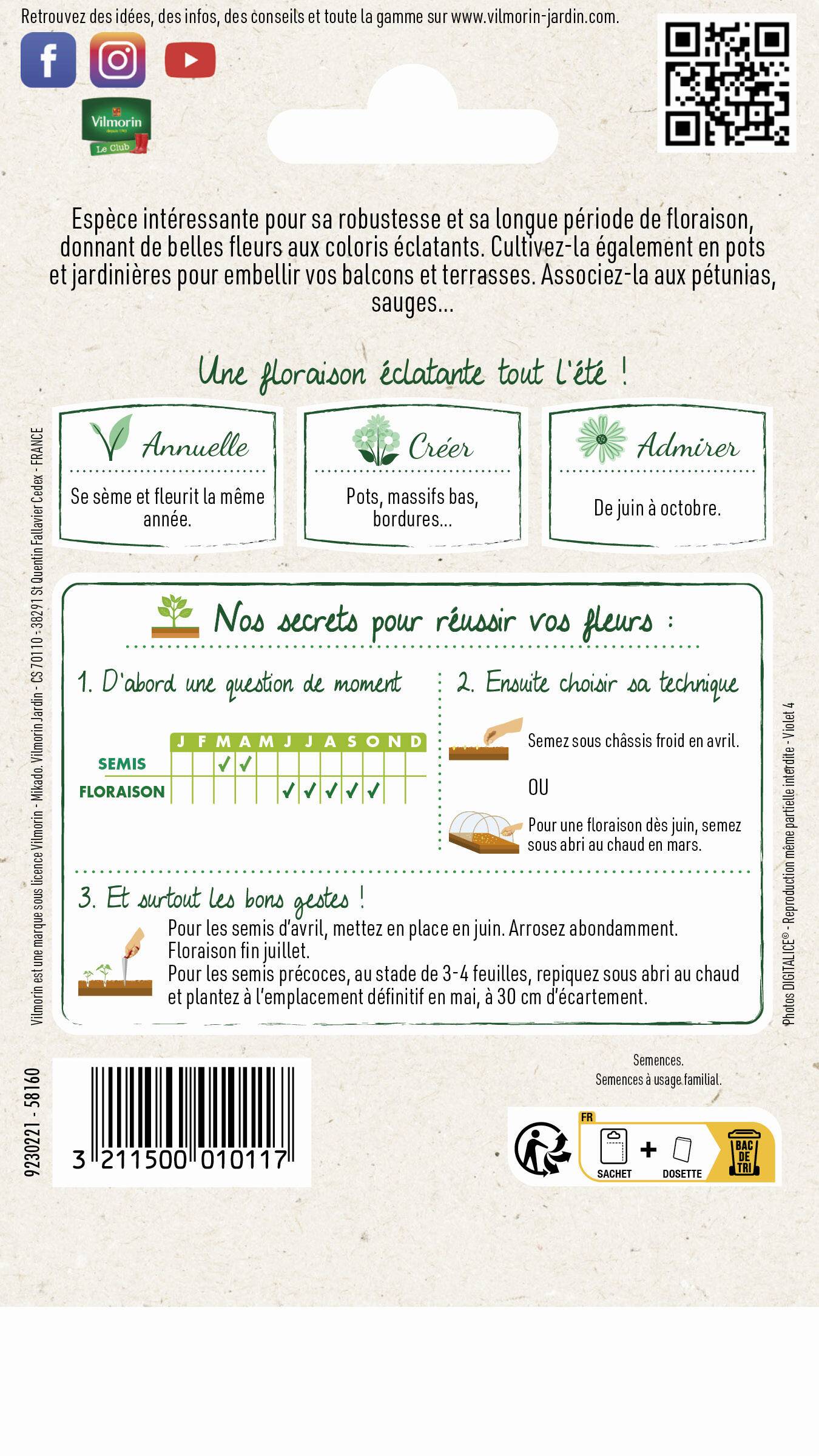Vilmorin - Verveine Brio variée série 3 sachet graines 0,5 g - Vilmorin - Image 3