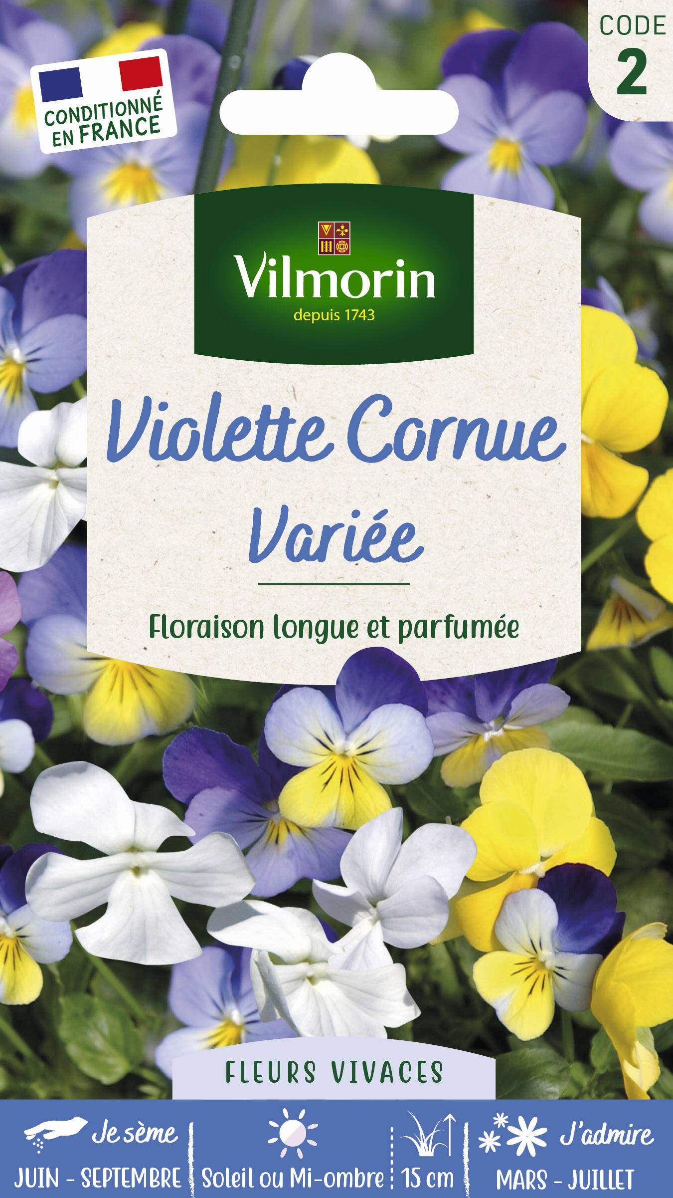 Vilmorin - Viola Cornuta variée série 2 sachet graines 0,7 g - Vilmorin - Image 1
