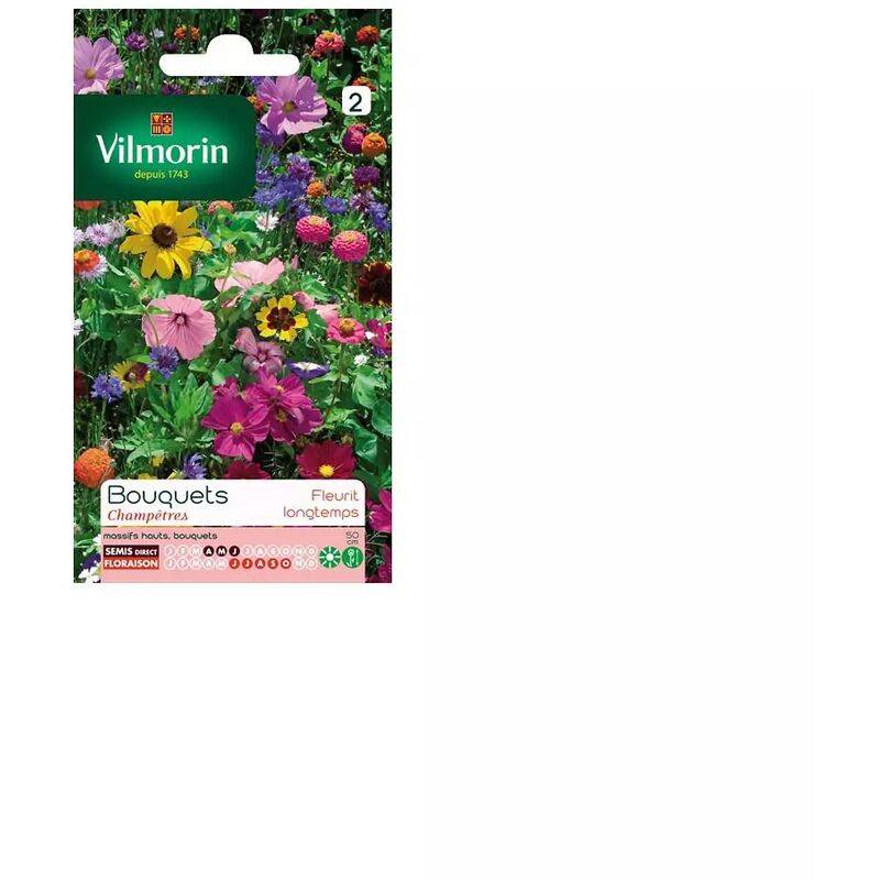 Vilmorin - Fleurs pour bouquets champêtres série 2 sachet graines 5 g - Vilmorin - Image 4