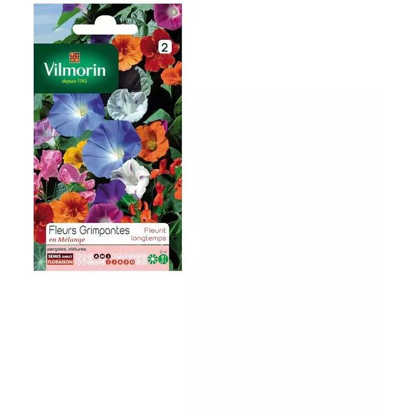 Vilmorin - Graines de Fleurs Grimpantes - VILMORIN - Image 1