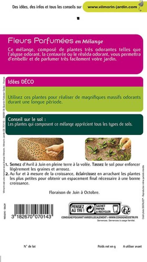 Vilmorin - Fleurs parfumées série 2 sachet graines 3 g - Vilmorin - Image 9
