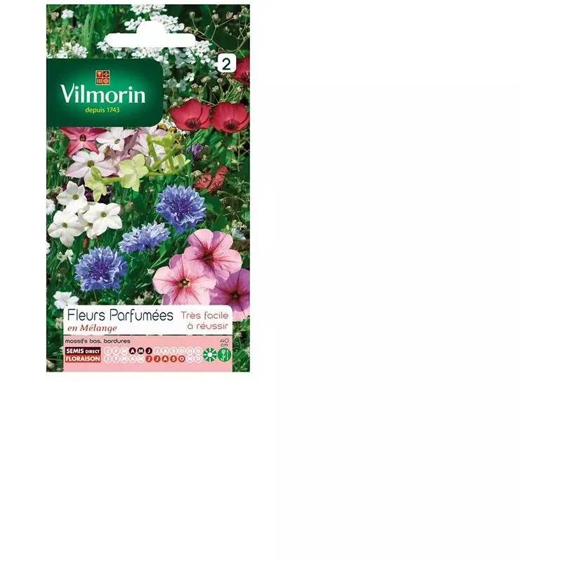 Vilmorin - Fleurs parfumées série 2 sachet graines 3 g - Vilmorin - Image 4