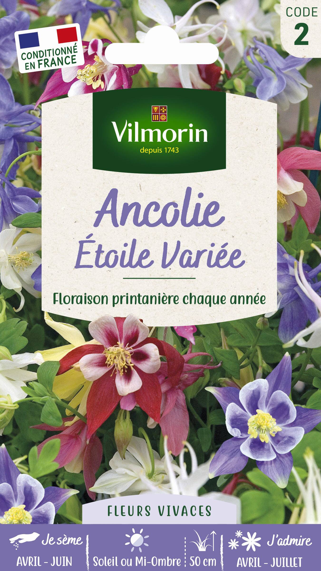 Vilmorin - Ancolie Etoile variée série 2 sachet graines 0,5 g - Vilmorin - Image 7