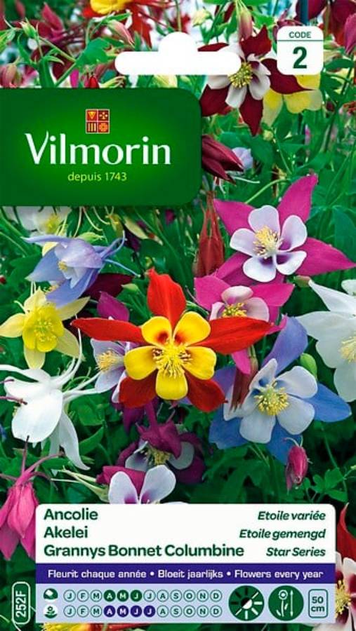 Vilmorin - Ancolie Etoile variée série 2 sachet graines 0,5 g - Vilmorin - Image 2