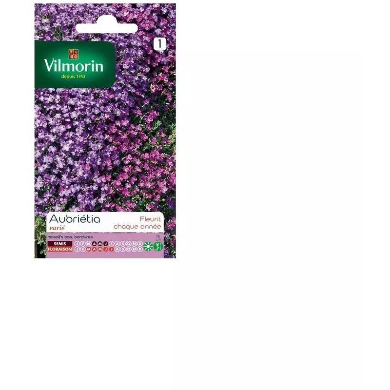 Vilmorin - Aubriétia varie série 1 sachet graines 0,3 g - Vilmorin - Image 4
