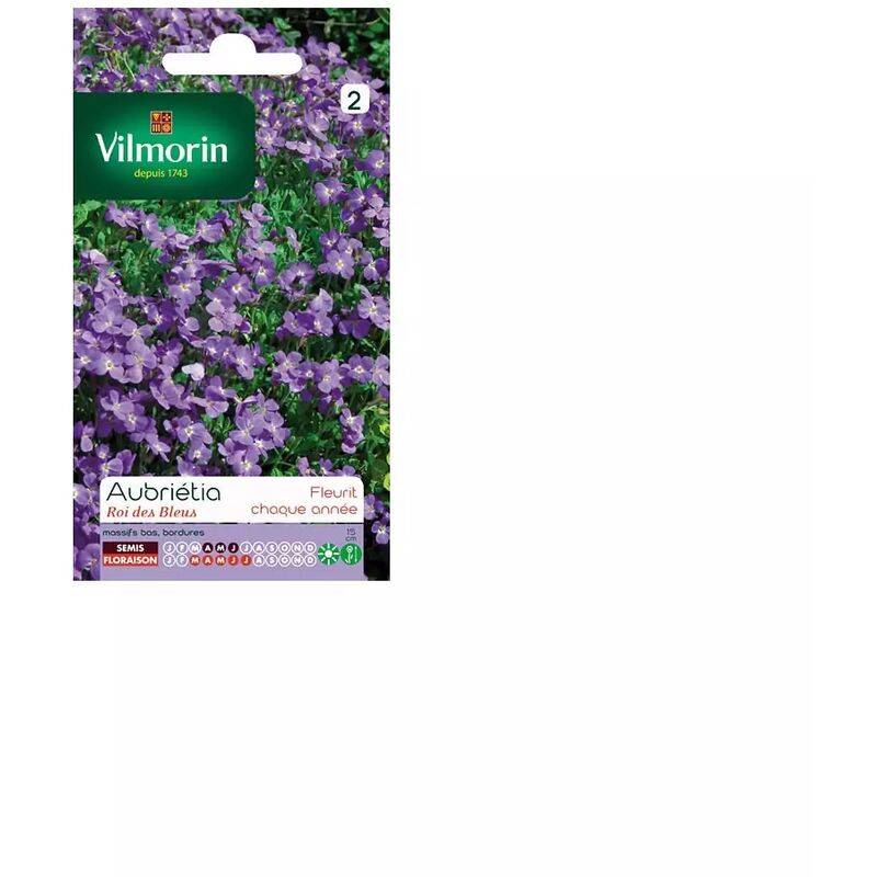 Vilmorin - Aubriétia Roi des Bleus serie 2 sachet graines 0,3 g - Vilmorin - Image 4