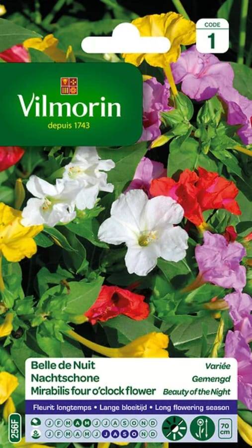 Vilmorin - Belle de Nuit Variée serie 1 sachet graines 4 g - Vilmorin - Image 3