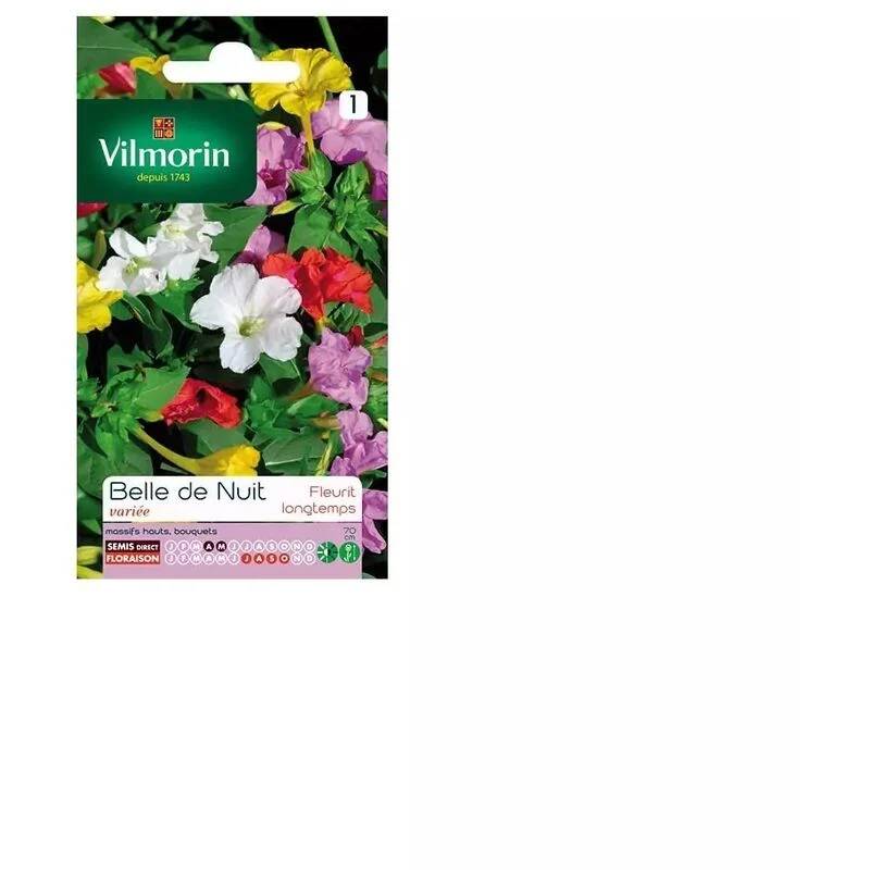 Vilmorin - Belle de Nuit Variée serie 1 sachet graines 4 g - Vilmorin - Image 4