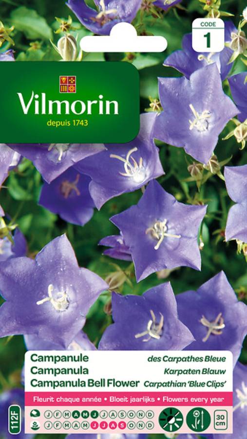 Vilmorin - Campanule des Carpathes Bleue serie 1 sachet graines 0,5 g - Vilmorin - Image 8