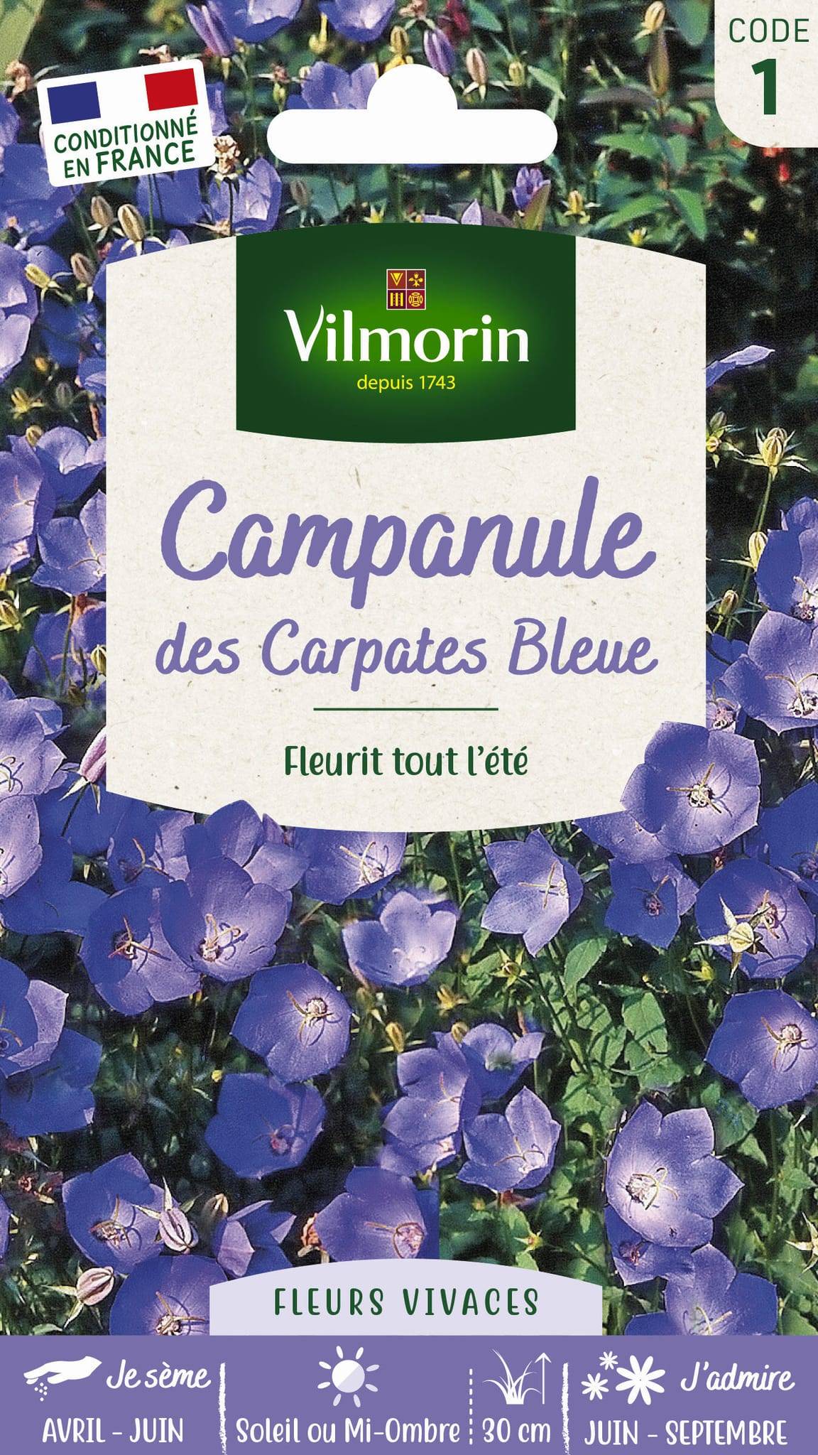 Vilmorin - Campanule des Carpathes Bleue serie 1 sachet graines 0,5 g - Vilmorin - Image 1