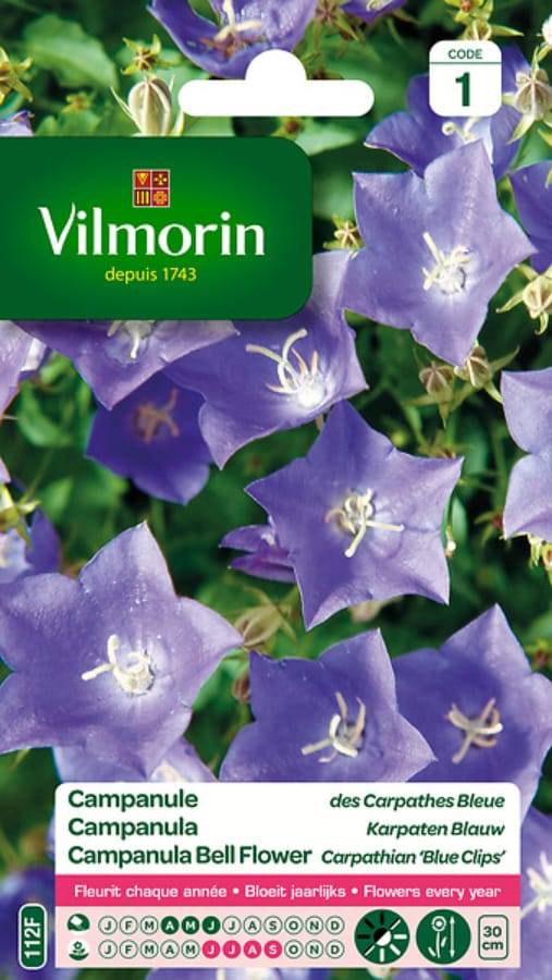 Vilmorin - Campanule des Carpathes Bleue serie 1 sachet graines 0,5 g - Vilmorin - Image 3