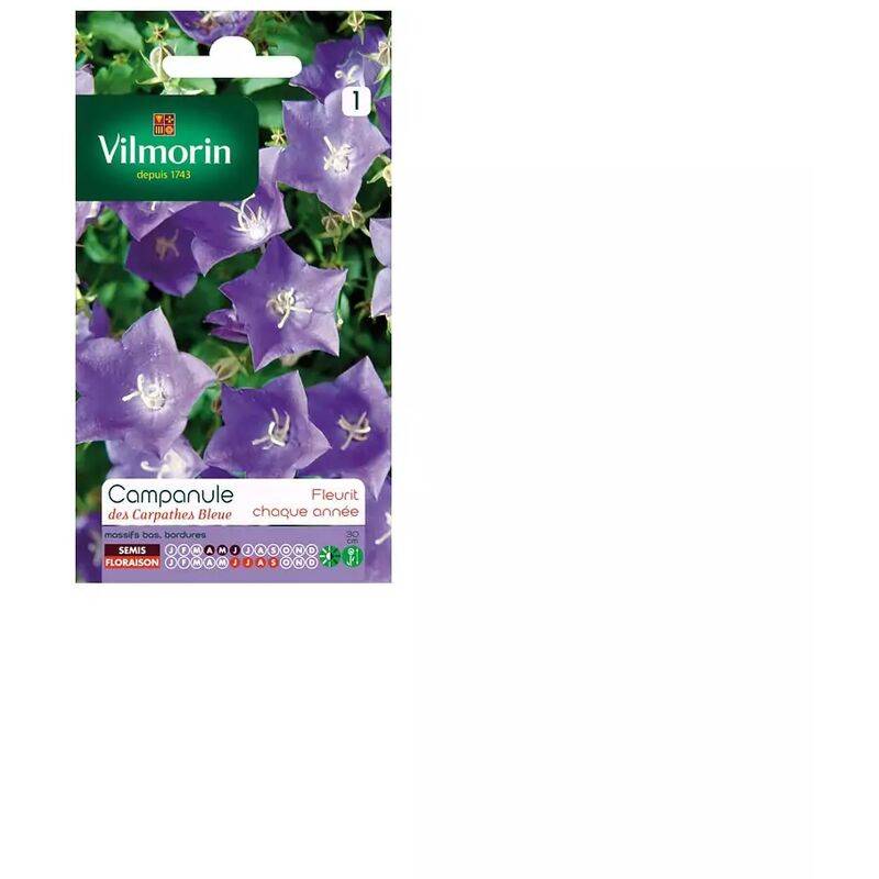 Vilmorin - Campanule des Carpathes Bleue serie 1 sachet graines 0,5 g - Vilmorin - Image 4
