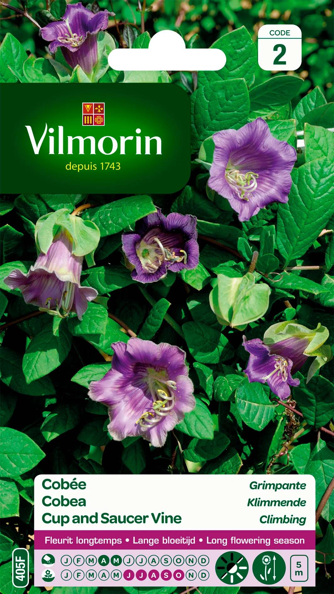 Vilmorin - Cobée grimpante série 2 sachet graines 1,5 g - Vilmorin - Image 2