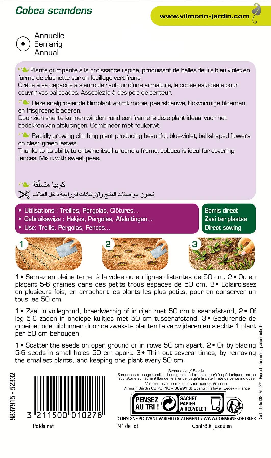 Vilmorin - Cobée grimpante série 2 sachet graines 1,5 g - Vilmorin - Image 3
