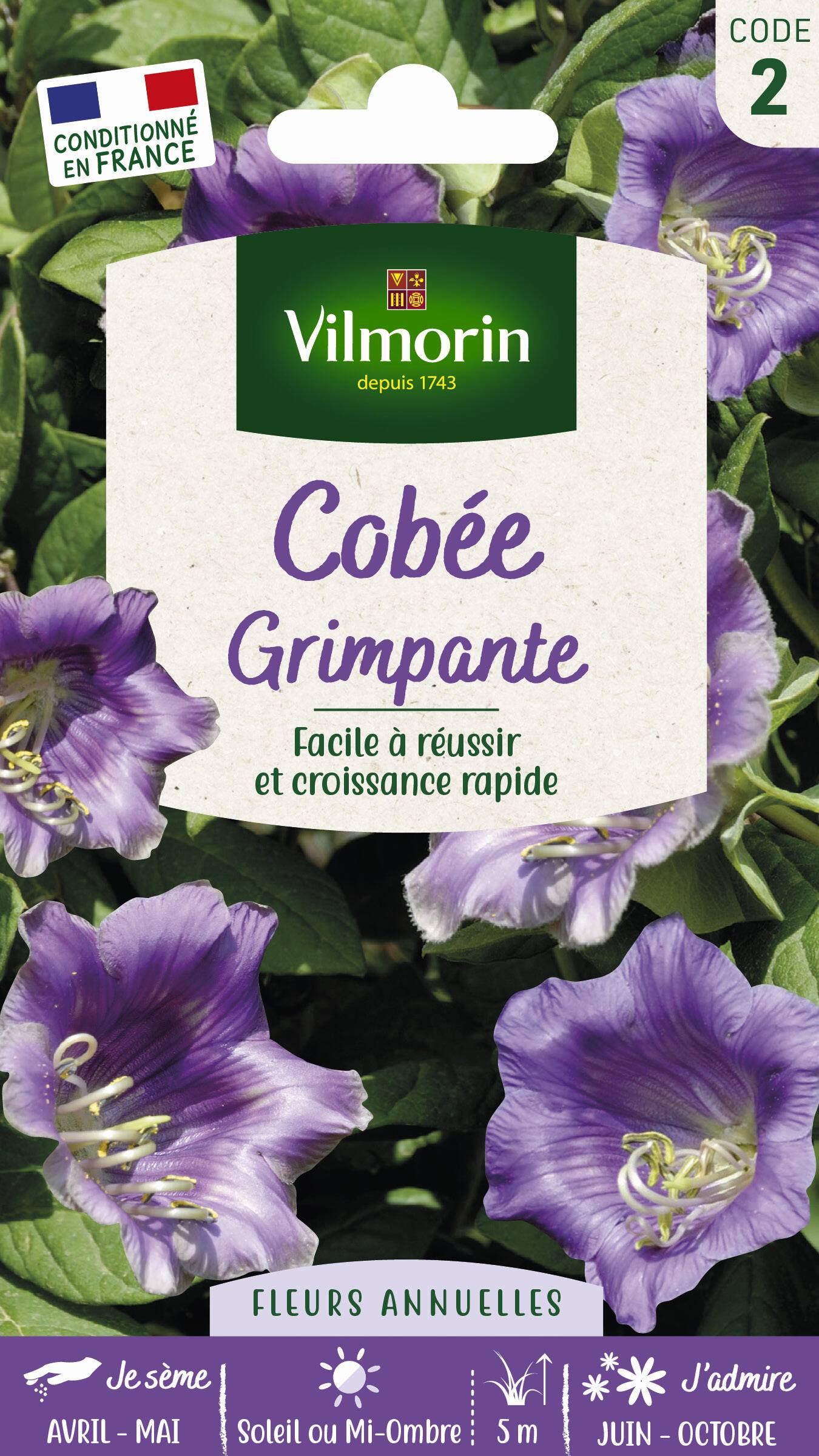 Vilmorin - Cobée grimpante série 2 sachet graines 1,5 g - Vilmorin - Image 1