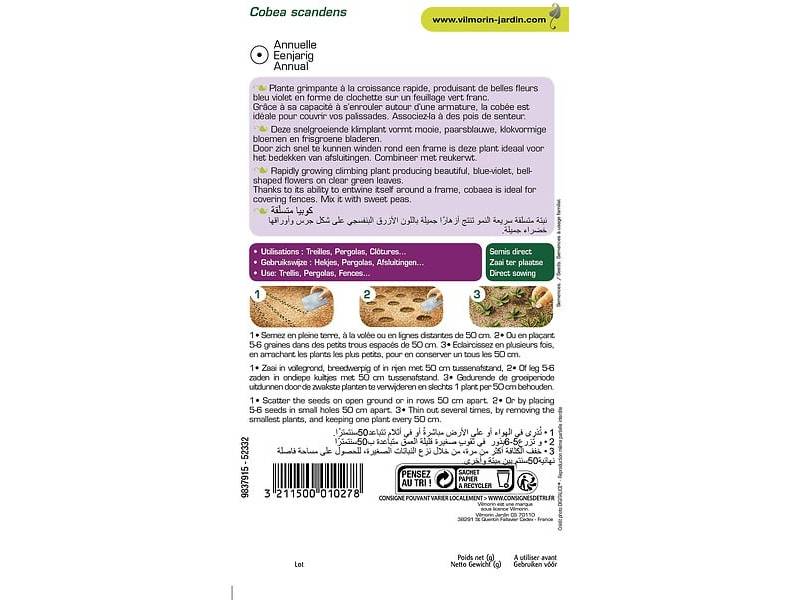 Vilmorin - Cobée grimpante série 2 sachet graines 1,5 g - Vilmorin - Image 6