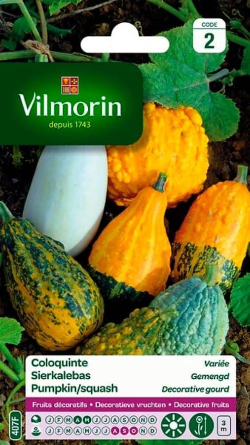 Vilmorin - Coloquinte en mélange série 2 sachet graines 3 g - Vilmorin - Image 6