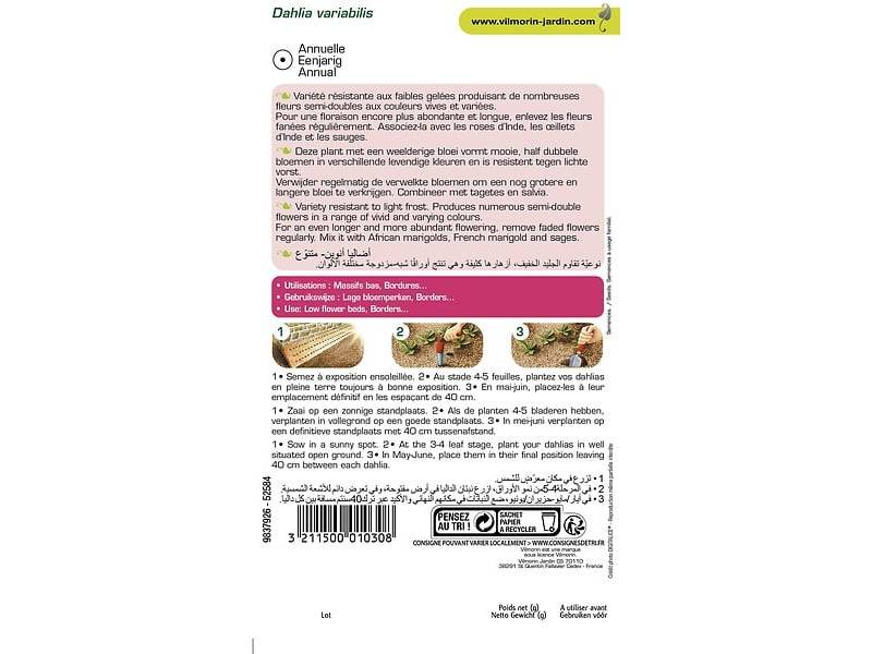 Vilmorin - Dahlia unwin varie série 2 sachet graines 1 g - Vilmorin - Image 4