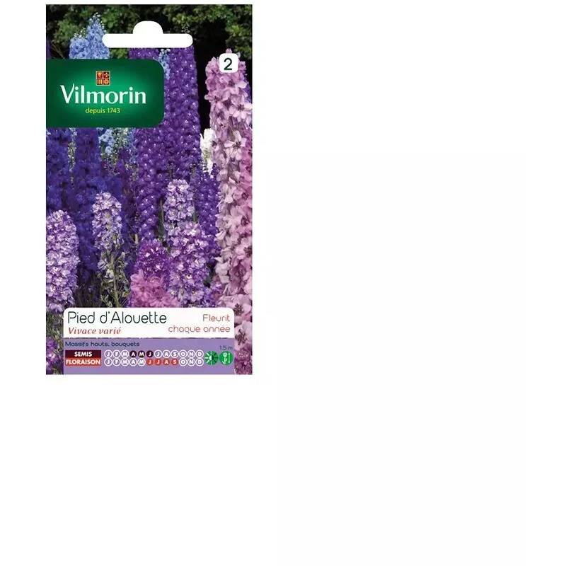 Vilmorin - Pied d alouette delphinium vivace varie série 2 sachet graines 0,5 g - Vilmorin - Image 4