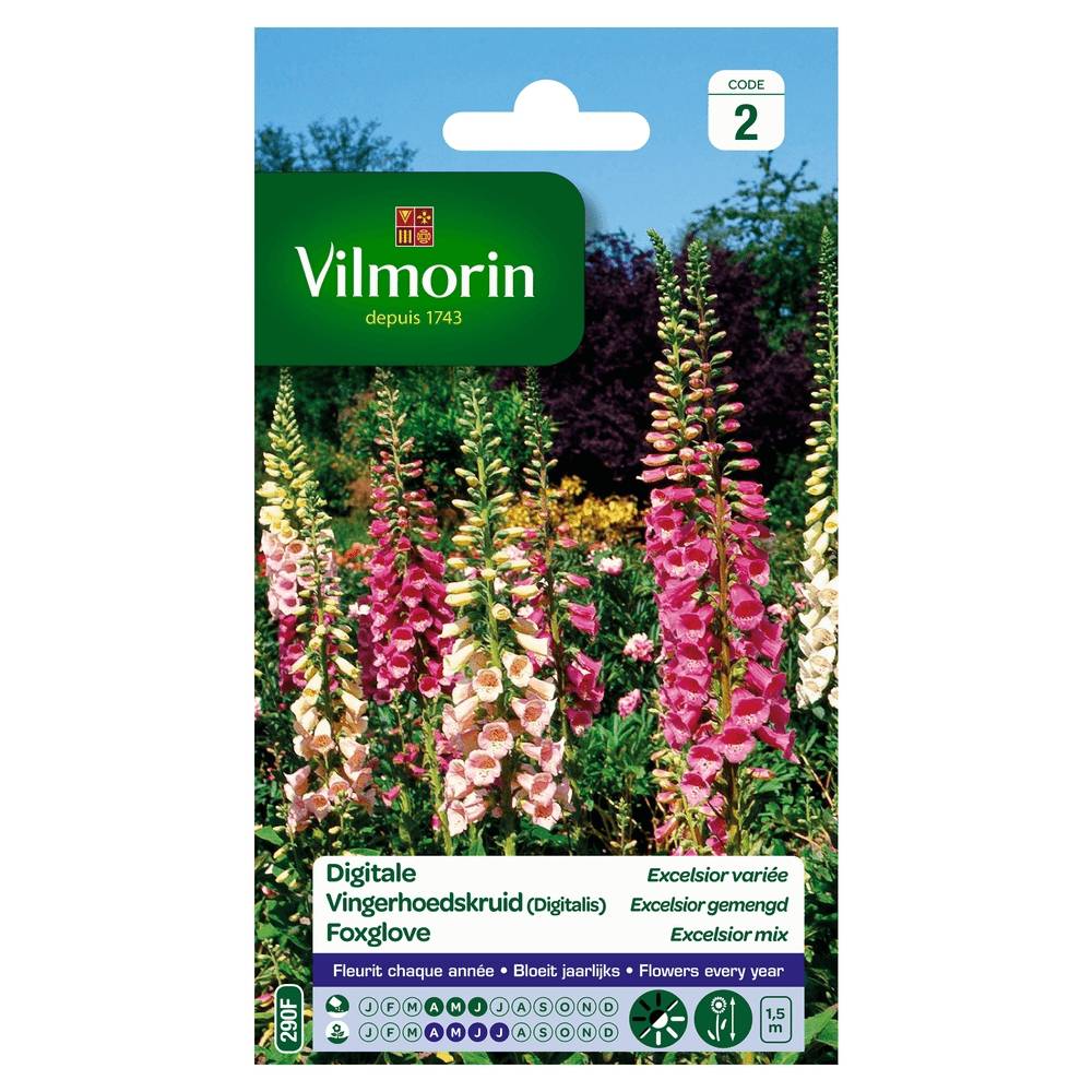 Vilmorin - Digitale variée série 2 sachet graines 0,5 g - Vilmorin - Image 2