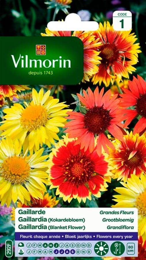 Vilmorin - Gaillarde variée a grande fleur série 1 sachet graines 1,5 g - Vilmorin - Image 2