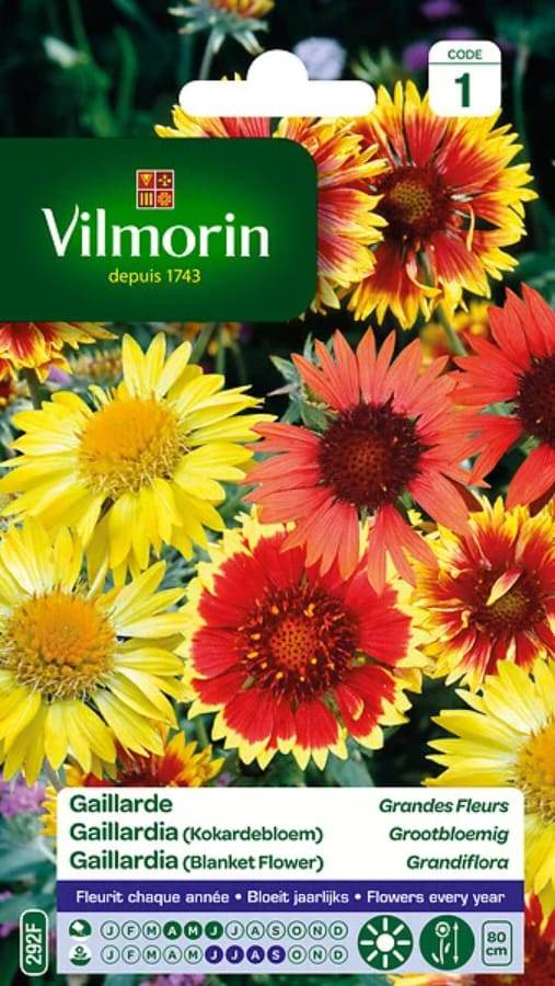 Vilmorin - Gaillarde variée a grande fleur série 1 sachet graines 1,5 g - Vilmorin - Image 3