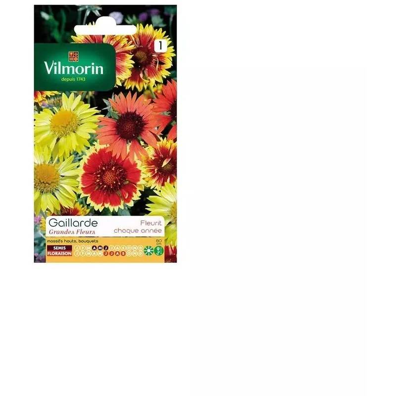 Vilmorin - Gaillarde variée a grande fleur série 1 sachet graines 1,5 g - Vilmorin - Image 4