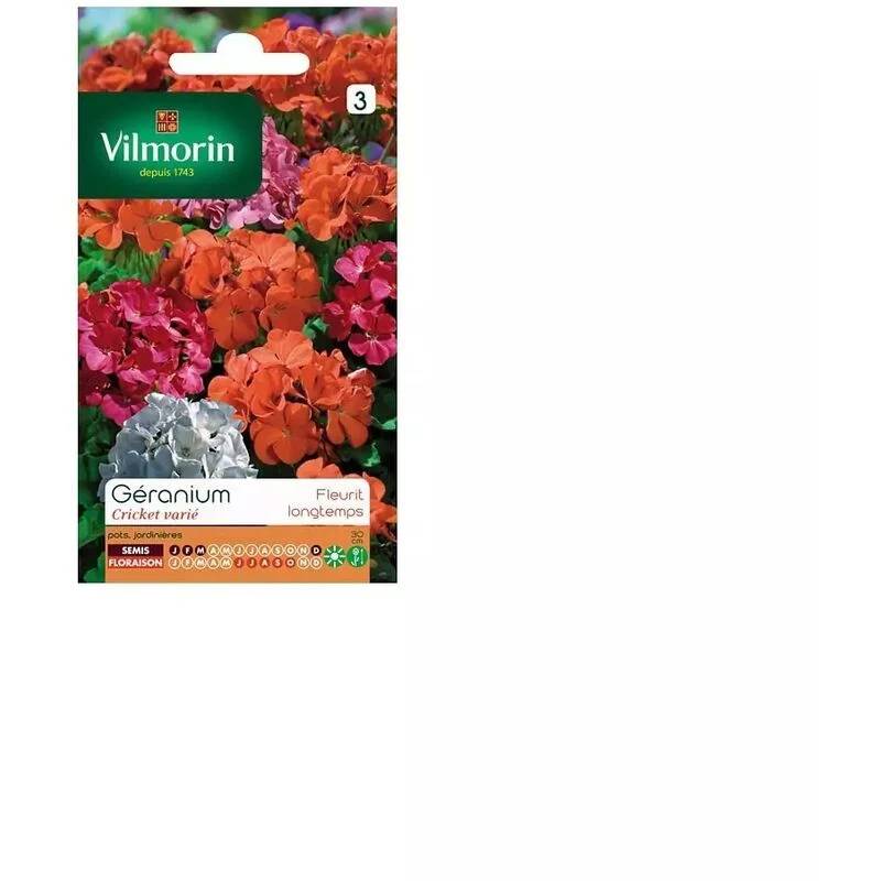 Vilmorin - Géranium cricket varie série 3 sachet graines 0,3 g - Vilmorin - Image 2