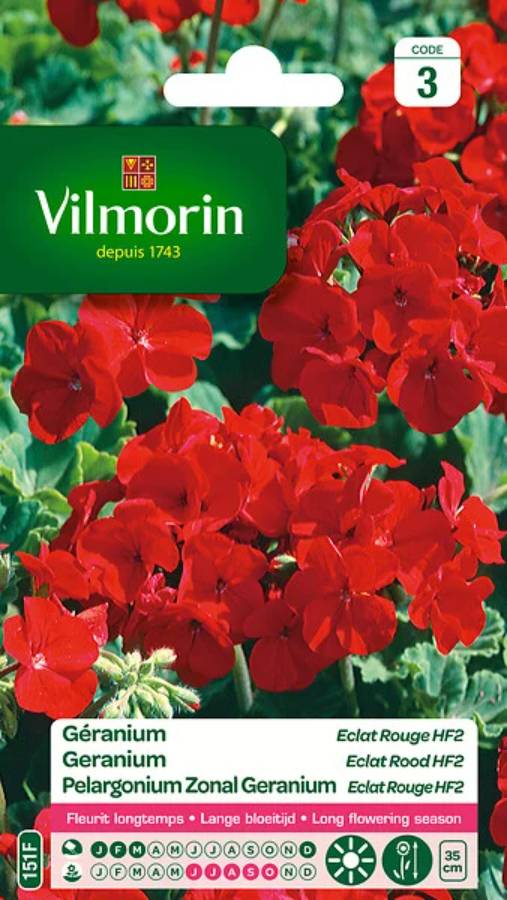 Vilmorin - Géranium Eclat Rouge HF2 serie 3 sachet graines 0,4 g - Vilmorin - Image 2